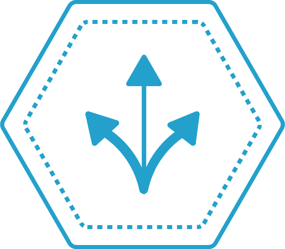 icon product decision tree